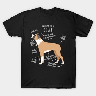 Boxer Dog Fawn Anatomy T-Shirt